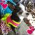 Marian Barfield's profile image