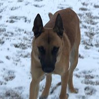 Emile Mistretta's profile image