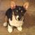 Linda Henson Owen's profile image