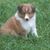 Lindy Mariel Forstater's profile image