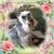 Wendy Dana's profile image