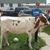 Jacob Stuessy's profile image