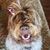 Cathy Gerhard's profile image