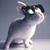 Chris Minami's profile image