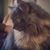 Donna Murray-Ochoa's profile image