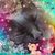 Patricia Trader's profile image