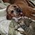 Colette Purcell's profile image
