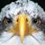Scott Bagley's profile image