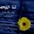 Rafik Homahoma's profile image