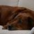 Sherry Sherry Charley's profile image