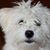 Marilyn Davis Dean's profile image