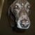 Christi White's profile image