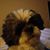 Rebecca Fults's profile image
