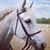 Jennifer Sheler's profile image