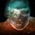 Manuel Alicea's profile image