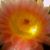 Debra L. Ruhl's profile image