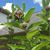 Sandra Arrington's profile image