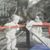 Sharon Wilcox's profile image