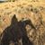 Hans Odde's profile image