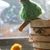 Marcia Harper's profile image