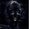 C m.'s profile image