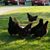 Leanna Williams's profile image
