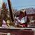 Daisy Tross Shipley's profile image