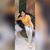 Bhell Gutierrez's profile image