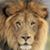 David Ramos's profile image