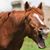 Hiler Hay's profile image