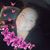 Crystal White Simon's profile image