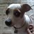 Eric Draven's profile image