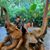 Anna Goh's profile image