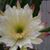 Kristi Sharp's profile image