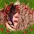 Sharon Roach's profile image