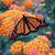 Dawn Barber's profile image