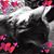 Jane Finch-Howell's profile image