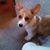 Christina Laymon's profile image