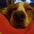 Patricia Stotler Harrod's profile image