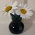 Patti Norman's profile image