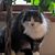 Melissa Hankins Fay's profile image