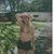 Claire H Peltan's profile image