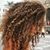 Karin Muñiz-Rivera's profile image