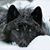 Darren Thomassie's profile image