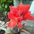 Nancy Weyant Parke's profile image