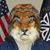 Senko Knelstrom's profile image