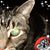 Julie Holmes's profile image