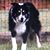 Rena Walker Sumbera's profile image