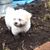 Barb Hedges's profile image