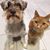 Jackie Boyer's profile image